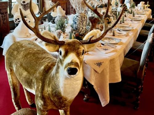 Vacances d'hiver Cheverny